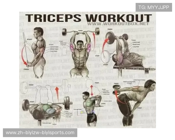 肩部训练专用健身器材介绍及分阶段训练计划